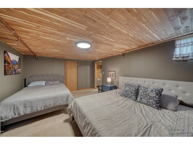 219 S Colorado Ave, Buena Vista, CO 81211