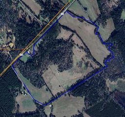 TBD David Hon Rd, Livingston, TX 77351
