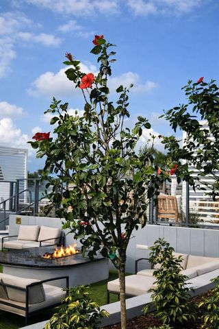 400 CENTRAL AVENUE 2603, St Petersburg, FL 33701