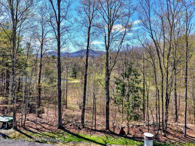 201 Edison Timmerman Road, Cairo, NY 12413
