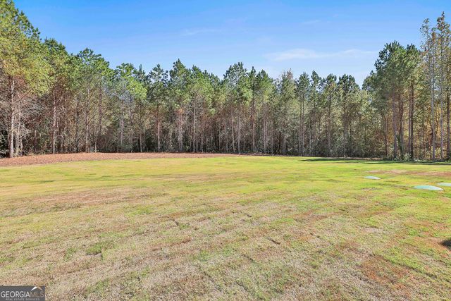 779 Alex Stephens Road LOT 4, Moreland, GA 30259