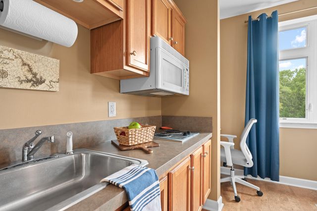 1273 Graves Harbor Trl Apt 3301, Huddleston, VA 24104