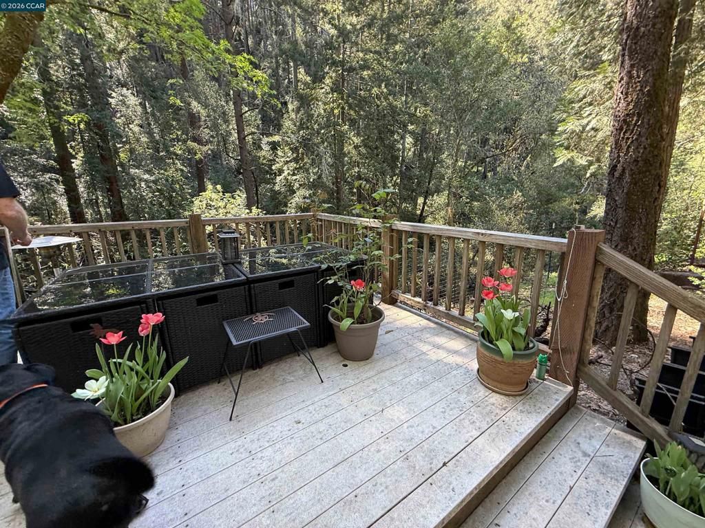 Image 19 of property listing at 5680 Dry Creek Rd, Napa, CA 94558