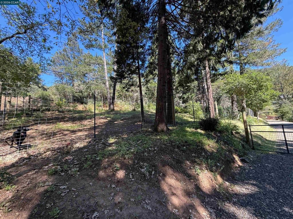 Image 7 of property listing at 5680 Dry Creek Rd, Napa, CA 94558