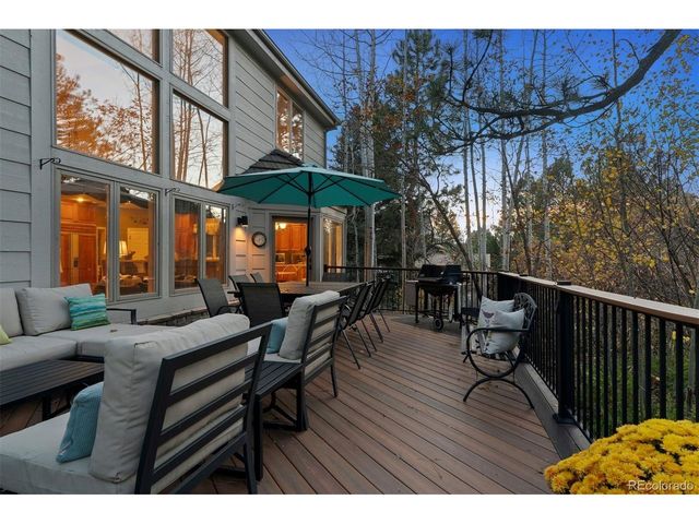 846 Good Hope Dr, Castle Rock, CO 80108