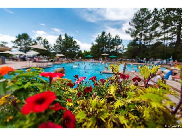 846 Good Hope Dr, Castle Rock, CO 80108