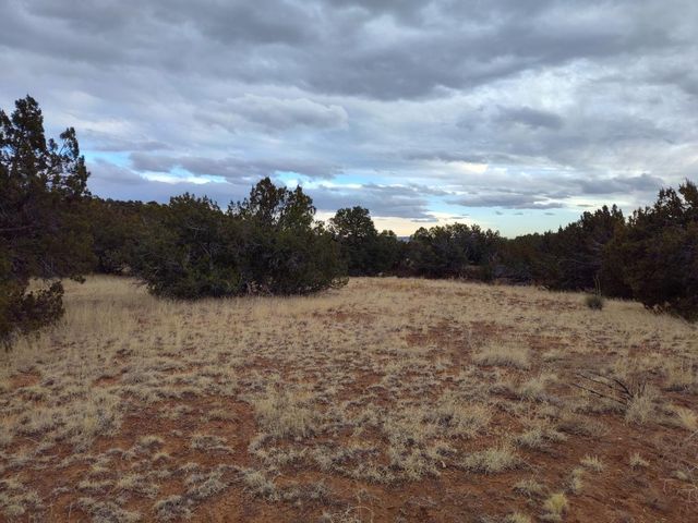 268 OLD ABO Trail, Mountainair, NM 87036