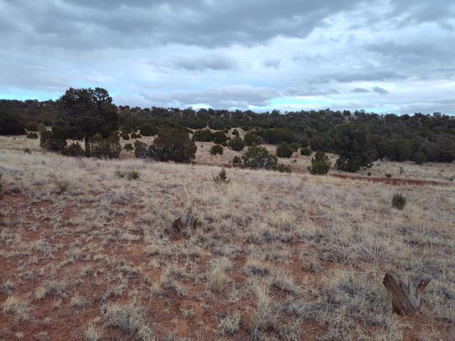 268 OLD ABO Trail, Mountainair, NM 87036