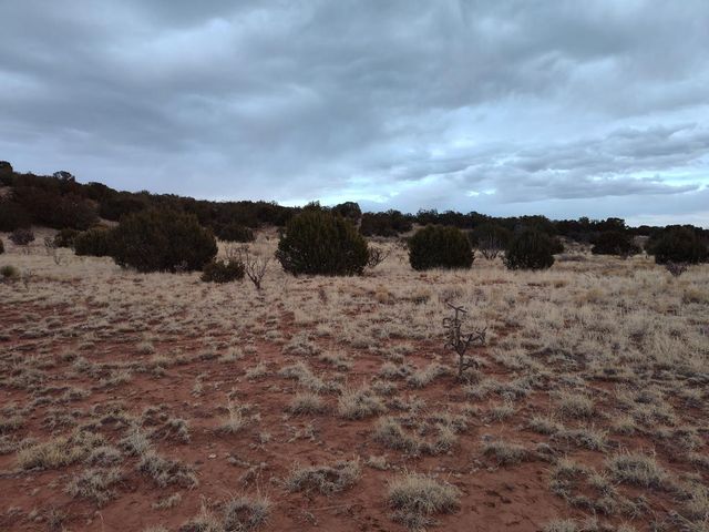 268 OLD ABO Trail, Mountainair, NM 87036