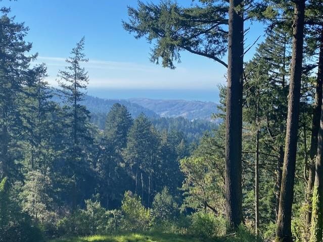 47 Forest View Road, Woodside, CA 94062