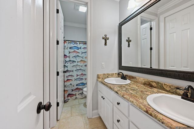 38086 Valley Woods Ct, Prairieville, LA 70769