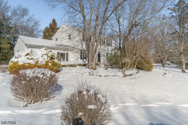 3 Meadow Lark Ct, Raritan Twp., NJ 08822