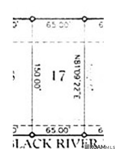 5160 Black River Rd, Darrow, LA 70725