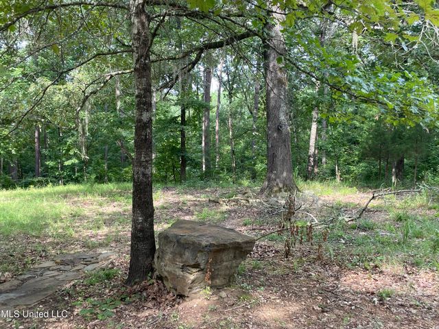 231 Abernathy Road, Flora, MS 39071