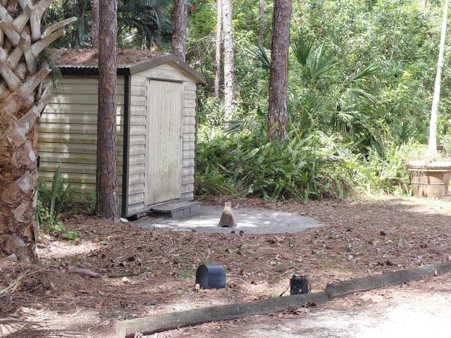 11615 Sunset Boulevard, The Acreage, FL 33411