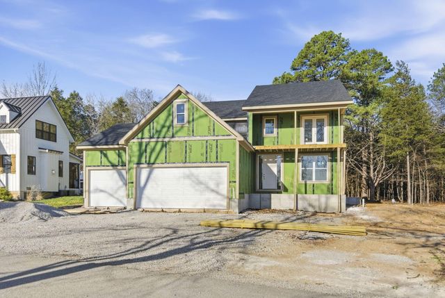 434 Rest Haven Lane, Blue Eye, MO 65611