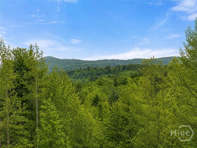 437 Spruce Circle, Mineral Bluff, GA 30559
