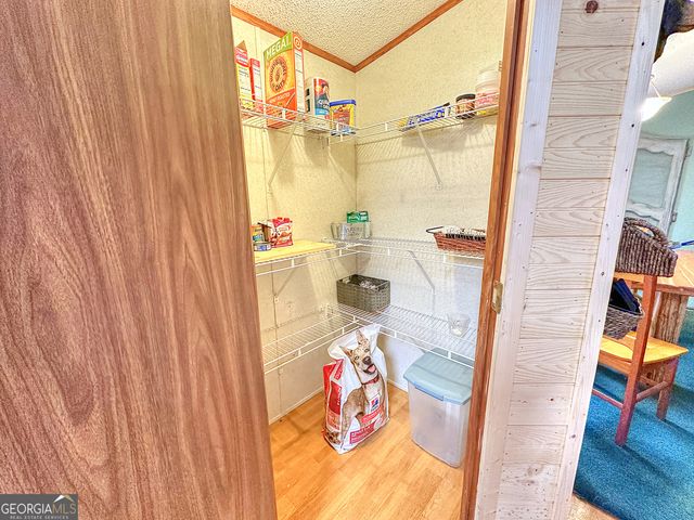 301 Early Spring Court, Greenville, GA 30222