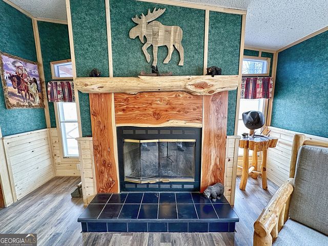 301 Early Spring Court, Greenville, GA 30222