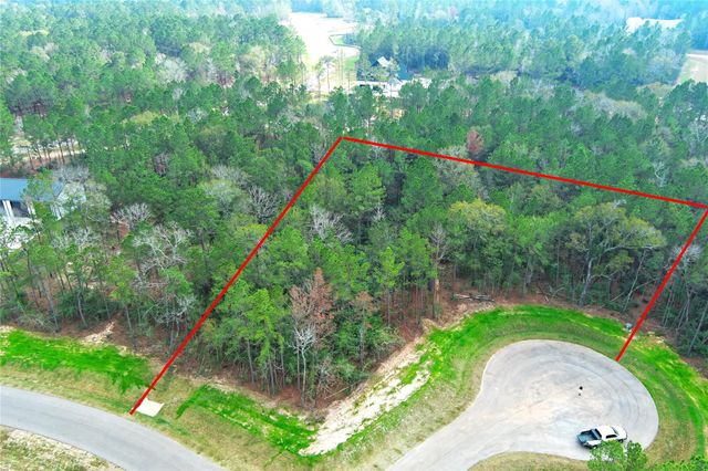 4521 Marfa Court, Montgomery, TX 77316