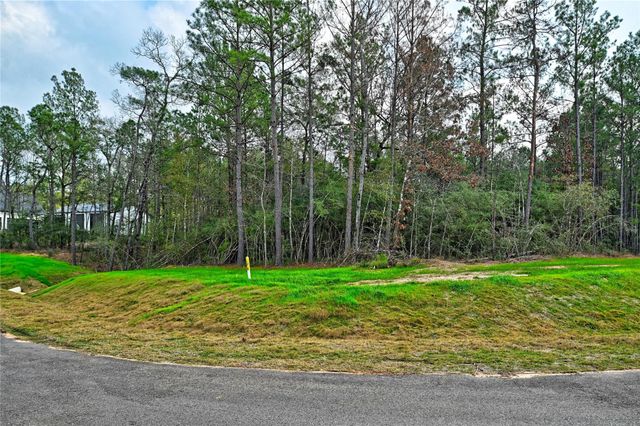 4521 Marfa Court, Montgomery, TX 77316