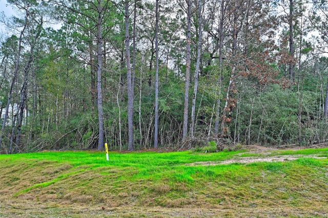 4521 Marfa Court, Montgomery, TX 77316