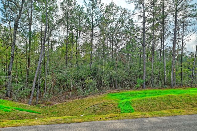 4521 Marfa Court, Montgomery, TX 77316