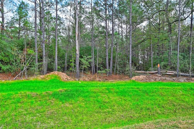 4521 Marfa Court, Montgomery, TX 77316