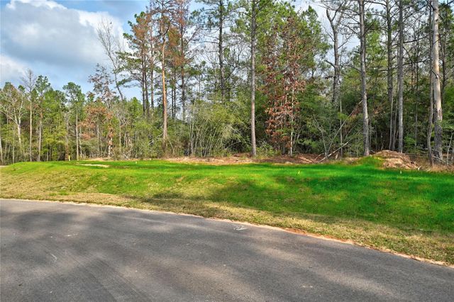 4521 Marfa Court, Montgomery, TX 77316