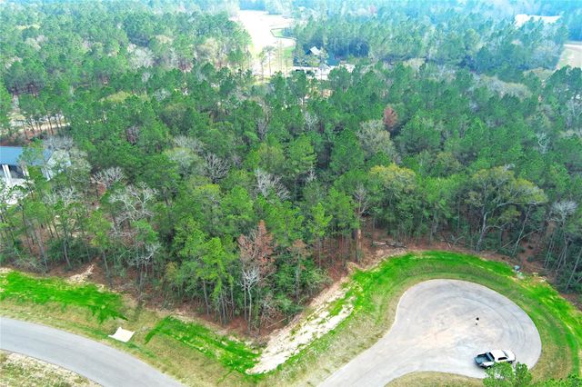 4521 Marfa Court, Montgomery, TX 77316