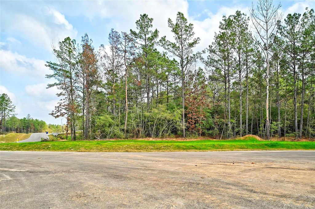 4521 Marfa Court, Montgomery, TX 77316