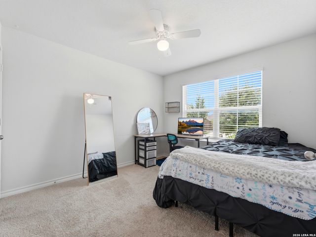 831 Red Crossbill, San Antonio, TX 78253