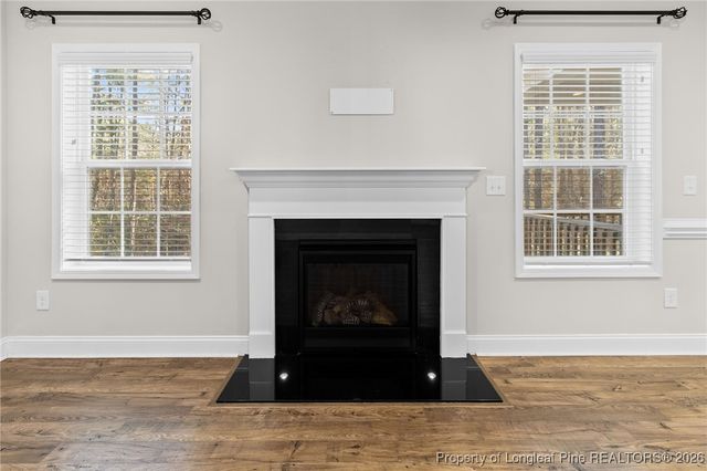 99 Wildlife Bridge Court, Spring Lake, NC 28390