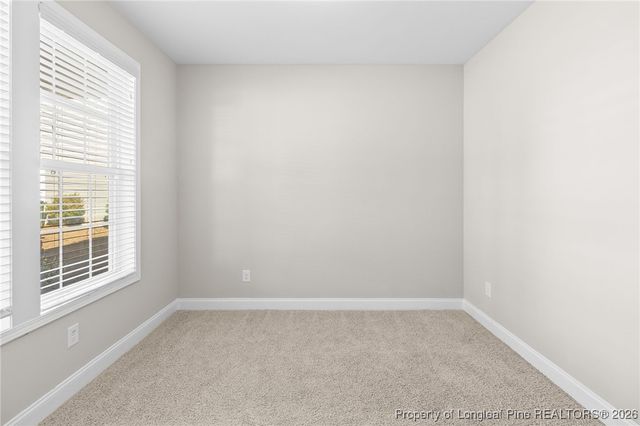 99 Wildlife Bridge Court, Spring Lake, NC 28390