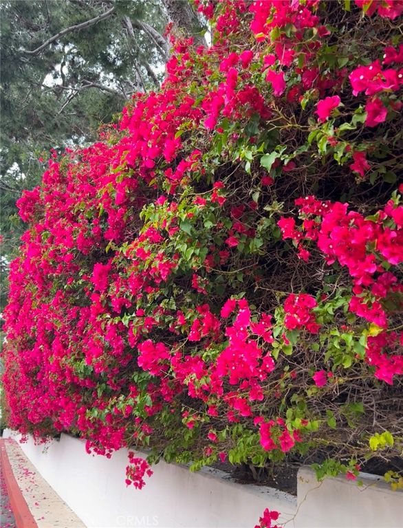 Image 41 of property listing at 67 Sea Island Drive, Newport Beach, CA 92660