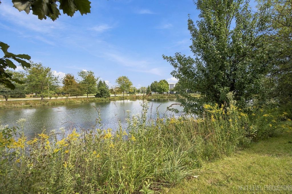14642 Paul Revere Lane, Plainfield, IL 60544 — photo 4