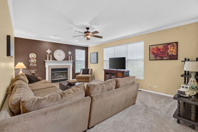 26602 Grande Poplar Court, Plainfield, IL 60585