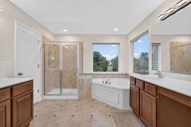26602 Grande Poplar Court, Plainfield, IL 60585