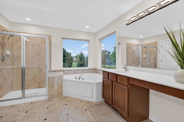 26602 Grande Poplar Court, Plainfield, IL 60585