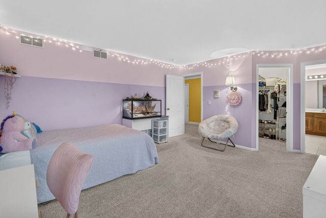 26602 Grande Poplar Court, Plainfield, IL 60585
