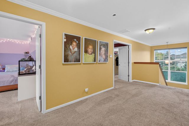 26602 Grande Poplar Court, Plainfield, IL 60585