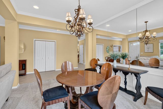 26602 Grande Poplar Court, Plainfield, IL 60585