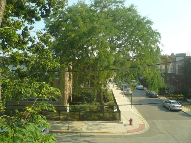 1132 E 44th Street, Chicago, IL 60653