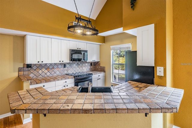 9156 LAKE CHASE ISLAND WAY 9156, Tampa, FL 33626