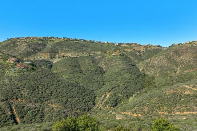 17912 El Brazo. lot 77, Rancho Santa Fe, CA 92067