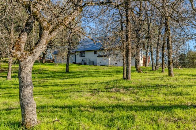 14880 Tyler Rd, Fiddletown, CA 95629