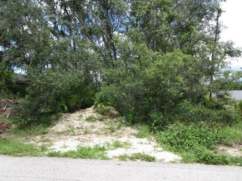 161 CONCH DRIVE, Poinciana, FL 34759