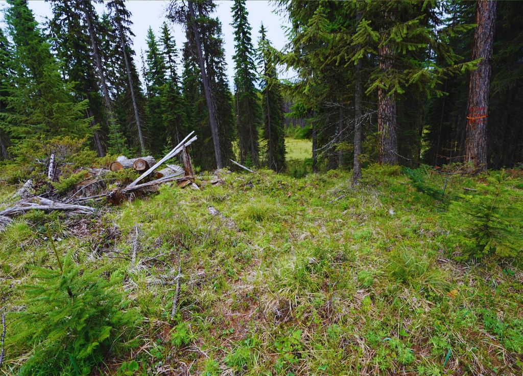 NHN Hwy 93, Olney, MT 59927 photo 4