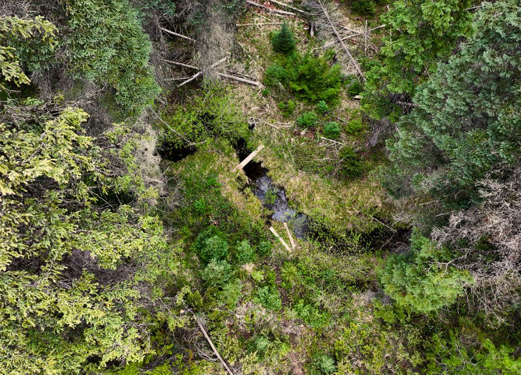 NHN Hwy 93, Olney, MT 59927 photo 8