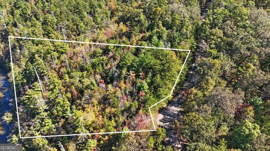 1666 Hunter Drive, Ranger, GA 30734